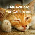 CatNews.org