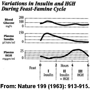 After hCG Diet Meal Spacing