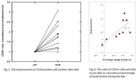 hcg diet cd34-positive cells