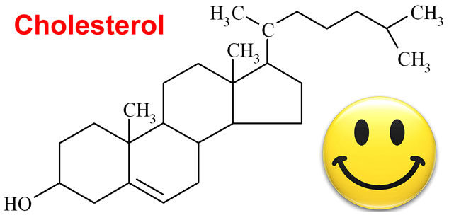 hcg diet cholesterol