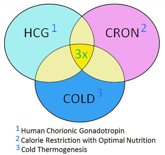 holy trinity venn diagram