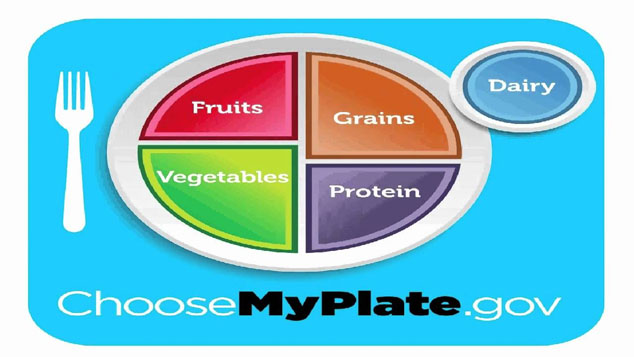 choosemyplate federal diet guidelines